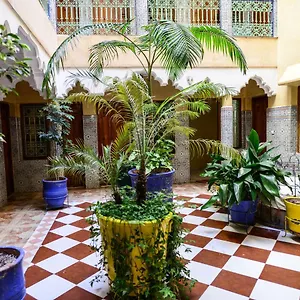 Faouzi Maroc