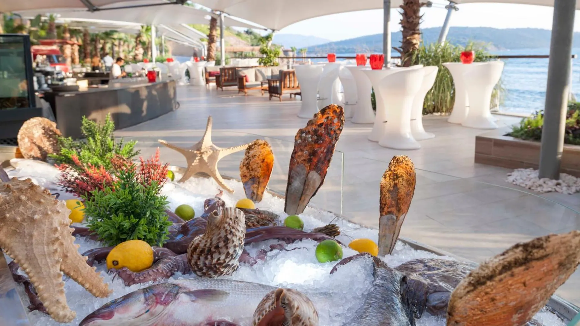 Le Méridien Bodrum Beach Resort Bogazici